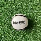 Sliotars Brian Walsh size 4 & 5 - SINGLE