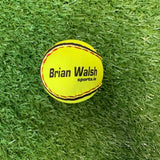 Brian Walsh Smart Touch Sliotars- Dozen