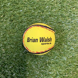 Brian Walsh Quick touch sliotars- single